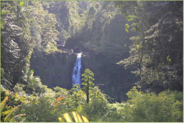 10 Rejsebrev Hawaii bryllupsrejse