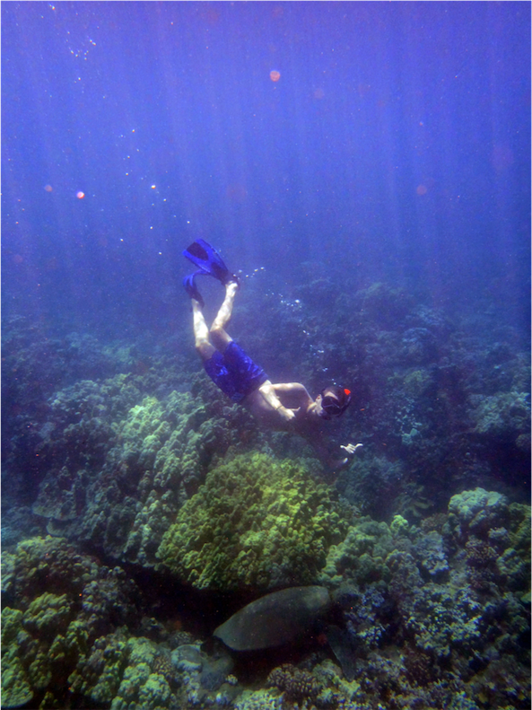 5 Rejsebrev Hawaii bryllupsrejse