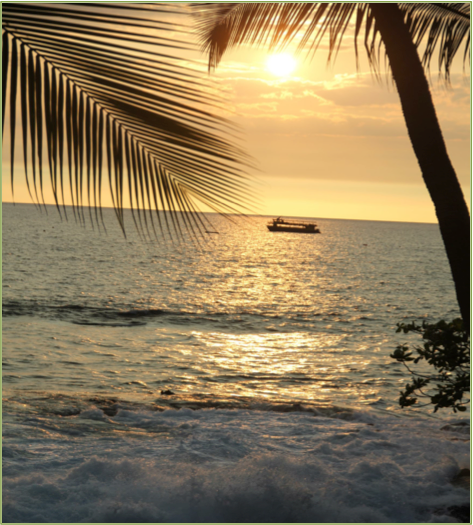 9 Rejsebrev Hawaii bryllupsrejse