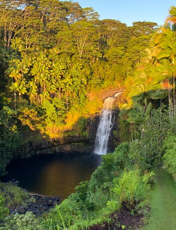 Hawaii brink