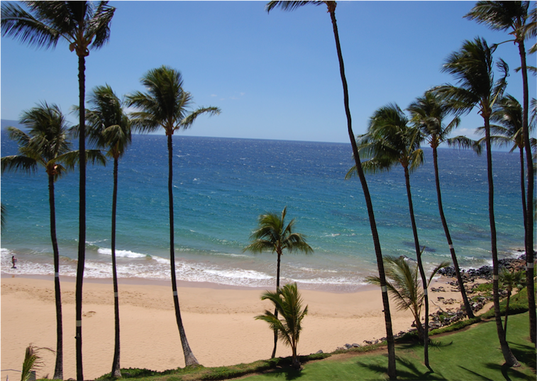 Rejsebrev Hawaii bryllupsrejse