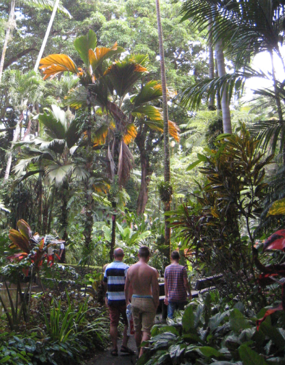 Tropicalgardens
