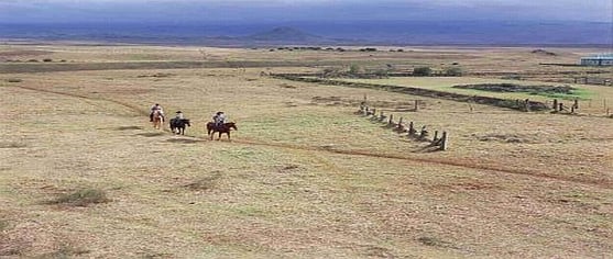 Big-Island-parkers-ranch-usa-strste