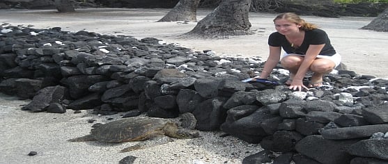 Big-island-udflugt-polynesisk-landsbysnorkel-med-skildpadder