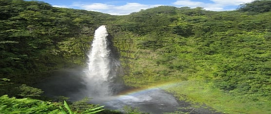 Bryllupsrejse_big_island