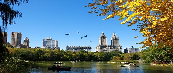 Central-park-New-York-Picnic