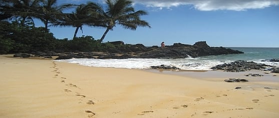 Maui-Bryllupsrejse