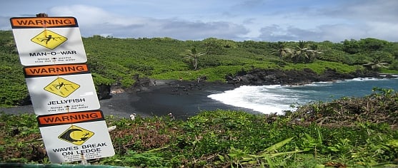 Road-to-Hana-udflugt-i-bil-1-dag